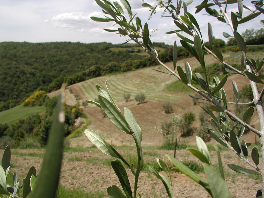 Casa Guaitoli Villa Bagni Di Petriolo Luaran gambar