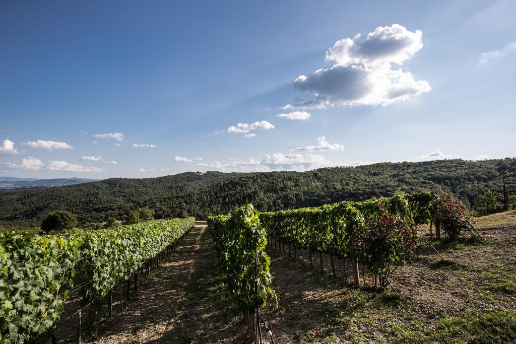 Casa Guaitoli Villa Bagni Di Petriolo Luaran gambar